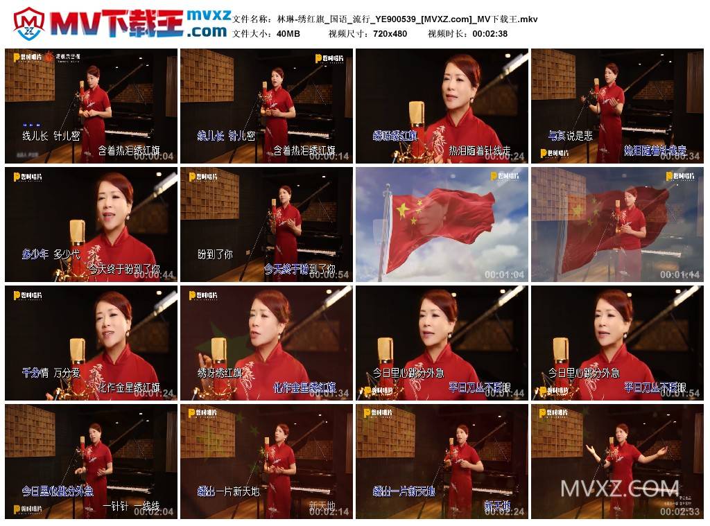 林琳-绣红旗_国语_流行_YE900539